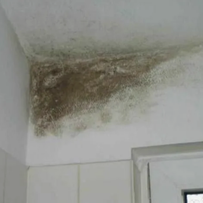 Nem ve Küflenme Sorunu